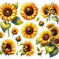 A series of cheerful watercolor clipart featuring sunflowers in various compositions. 