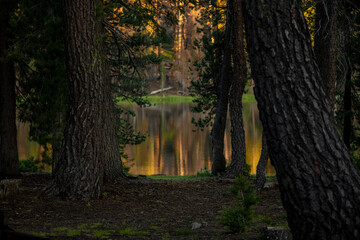 Trees Surround Summit Lake Reflecting Morning Light
