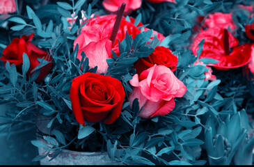 Rose and calla flowers bouquet arrangement. Funeral flowers. Mourning background. Grief, memorial,...