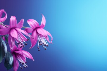 Fuchsia background image for design or product presentation, with a play of light and shadow
