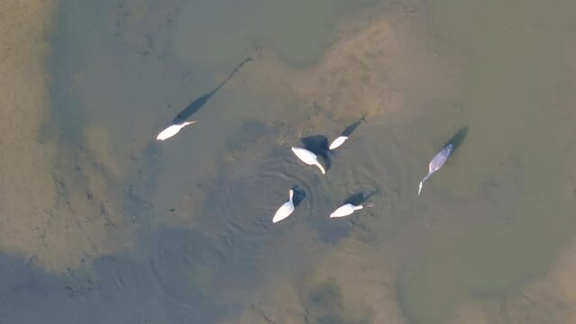 Tai Sang Wai Drought Fish Ponds.