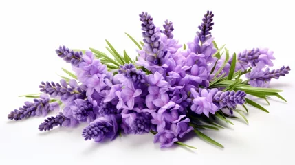 Fotobehang Beautiful lavender flowers on white background isolated on white background, © LofiAnimations