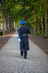 This image captures a lone soldier in uniform, seen from behind, walking down a cobblestone path flanked by trees. The soldier's uniform, adorned with precise details and a beret, denotes a sense of