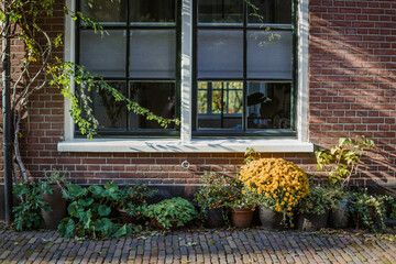 Front window of a typical dutch house, amersfoort