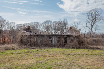 Abandoned house slowly being taken over by nature and collapsing in on itself - 707888571