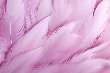 Fototapeta na wymiar Lavender pastel feather abstract background texture