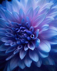 Closeup view of a blue and purple flower. 