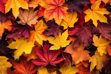 Naklejka na ściany i meble Autumn Leaves Pattern Background