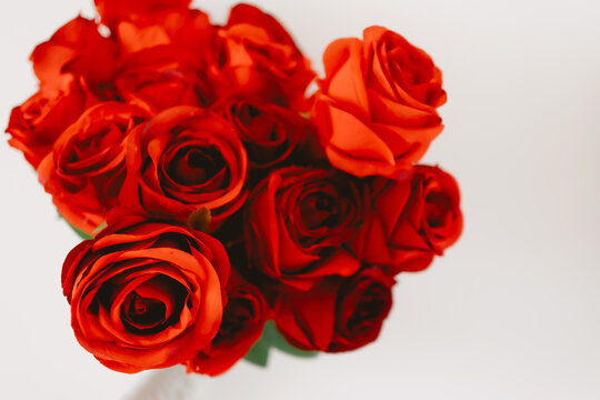 Image of beautiful red roses, flowers isolated over white background wall.