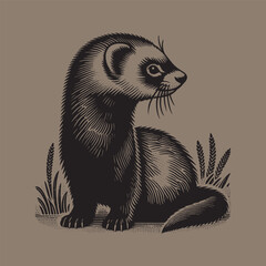 Beautiful ferret. Mustela furo.  Vintage retro engraving illustration. Black icon, logo, label.  isolated element	