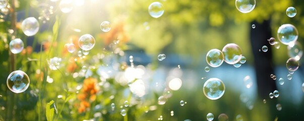 soap bubbles in park in summer landscape - obrazy, fototapety, plakaty