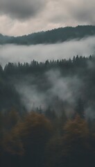 Beautiful View of Misty Mountain Forest Landscape Vertical 4k Wallpaper Photo