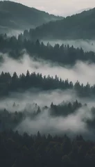 Papier Peint photo Lavable Forêt dans le brouillard Beautiful View of Misty Mountain Forest Landscape Vertical 4k Wallpaper Photo