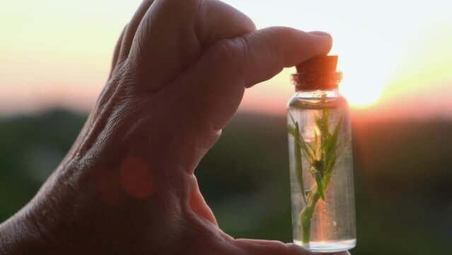 A bottle with a plant and extract in the hands of an elderly woman