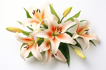 Top view of gorgeous white lilies