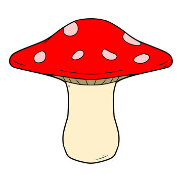 red poisonous mushroom illustration hand drawn colored vector