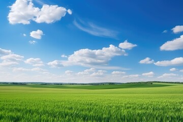 Fototapeta premium Ukrainian agricultural land with cultivated fields, minimalistic landscape, and beautiful earth.