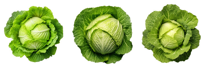 Set of green cabbage top view isolated on white or transparent background - obrazy, fototapety, plakaty