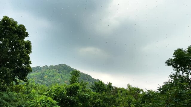Rainy Day Landscape Green Natural, Raining Tree And Treetop On Blue Grey Sky Raincloud Background At Saraburi, Thailand. 04Nov2023, PM