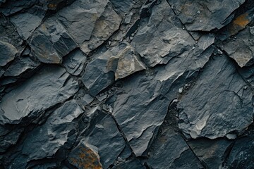 A detailed close-up view of a black rock wall. Perfect for backgrounds or textures