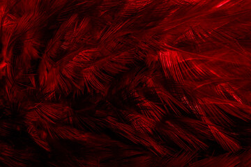 red feathers with an interesting pattern. background