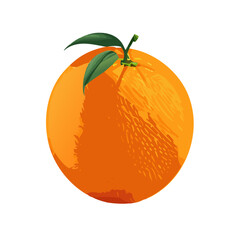 Vector Illustration of a Fresh Orange Fruit