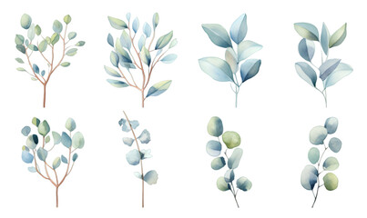 Watercolor green eucalyptus plants set isolated on transparent background - obrazy, fototapety, plakaty