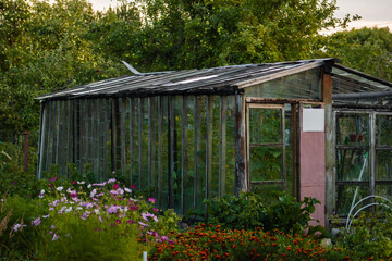old glass greenhouse in the country