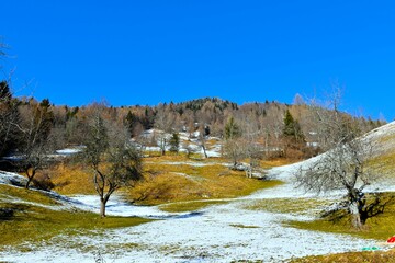 Hill with forest and meadows in winter in Karavanke mountains, Gorenjska, Slovenia