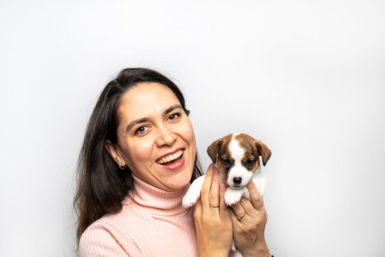 Photo of a joyful girl with dark hair wearing a sweater, feeling cheerful, holding a small Jack Russell Terrier puppy, expressing affection, good relationship, owner feeling responsible. Pedigree pets