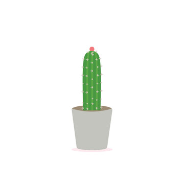 Cactus icons in a flat style on a white background. Home plants cactus in pots and with flowers. A variety of decorative cactus with prickles and without