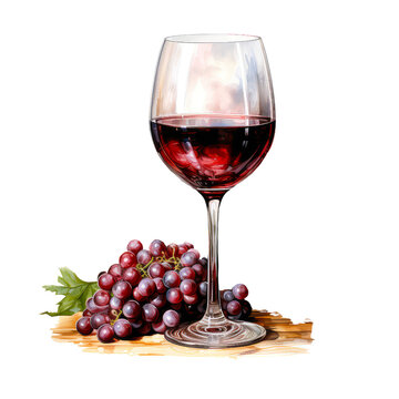 A watercolor drawing of a glass of red wine with grapes.