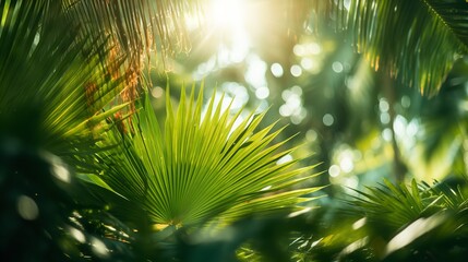 Radiant sunlight on a picture-perfect backdrop of tropical greenery and verdant palm gardens, Generative AI.
