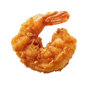 Fried Shrimp, transparent or isolated on white background