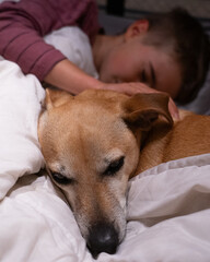 Boy sleeping with his dog