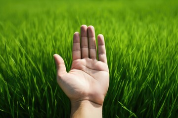 human hand on green grass, top view, eco concept