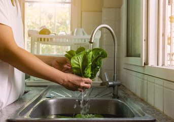 Woman washing vegetables at the sink in home kitchen, vegetable washing with water food hygiene and food safty concept. - obrazy, fototapety, plakaty