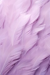 Fototapeta na wymiar Mauve pastel feather abstract background texture 