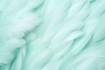 Fototapeta na wymiar Mint pastel feather abstract background texture 