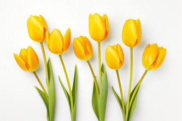 photography of some yellow tulip flowers on a white background, in the style of playful compositions created with Generative Ai