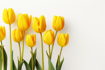 photography of some yellow tulip flowers on a white background, in the style of playful compositions created with Generative Ai