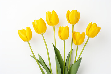 photography of some yellow tulip flowers on a white background, in the style of playful compositions created with Generative Ai