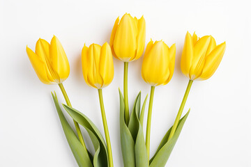 photography of some yellow tulip flowers on a white background, in the style of playful compositions created with Generative Ai