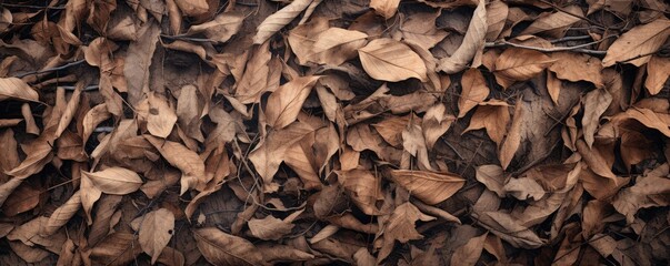Dry leaves and twigs are scattered around on the ground, large scale, top view, detailed texture. - obrazy, fototapety, plakaty