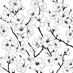 Sakura blossom pattern. Cherry flower seamless vector background. Floral japanese or chinese black line art. Spring vintage tree branch. Sketch outline illustration. Hand drawn seamless sakura pattern