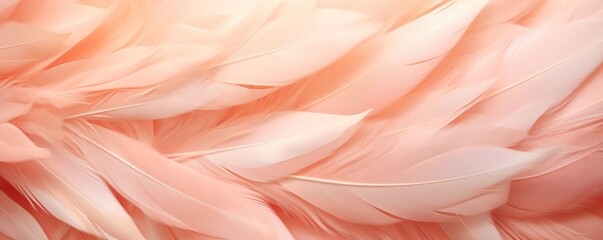 Peach pastel feather abstract background texture
