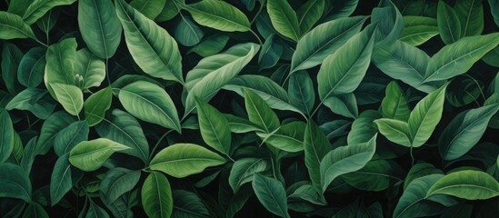 new, green foliage