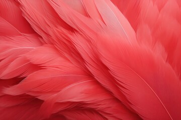 Red pastel feather abstract background texture 