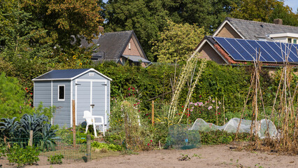 Fototapeta na wymiar Landscape with urban social vegetable garden project in municipality Ede in Gelderland in The Netherlands