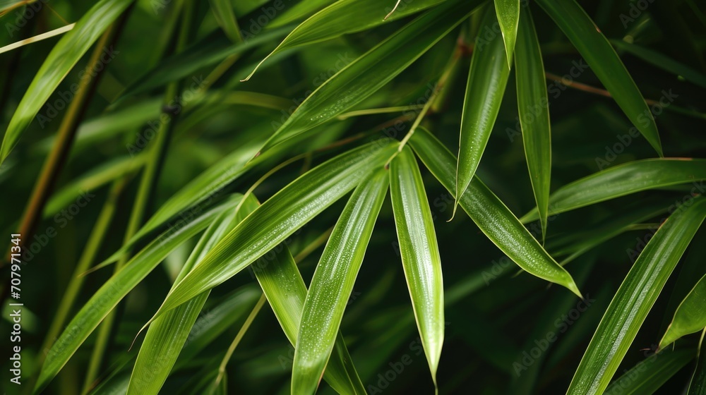 Poster a detailed view of a plant with vibrant green leaves. this image can be used to add a touch of natur